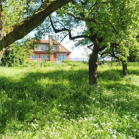 Kleine Villa im wilden Garten Gummersbach Exterior foto