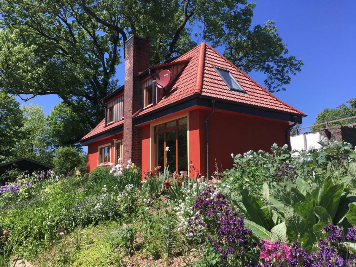 Kleine Villa im wilden Garten Gummersbach Exterior foto