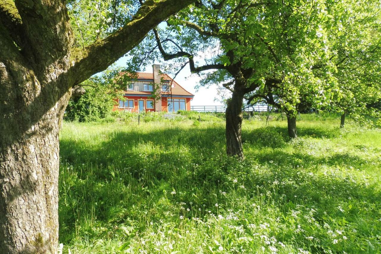 Kleine Villa im wilden Garten Gummersbach Exterior foto