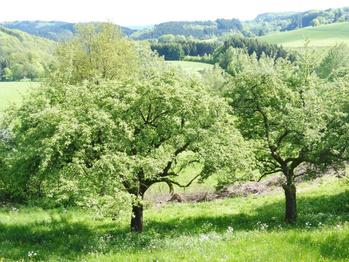 Kleine Villa im wilden Garten Gummersbach Exterior foto