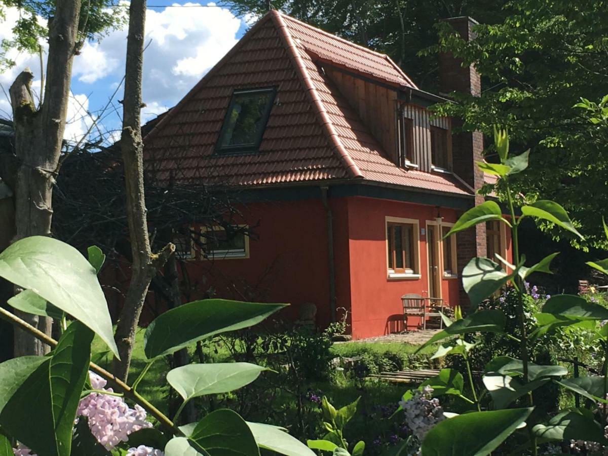 Kleine Villa im wilden Garten Gummersbach Exterior foto