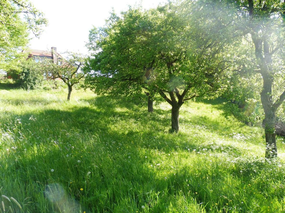 Kleine Villa im wilden Garten Gummersbach Exterior foto