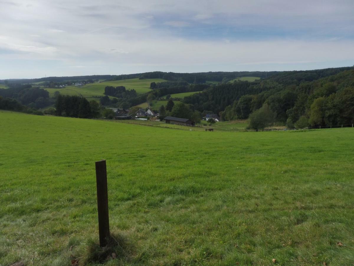 Kleine Villa im wilden Garten Gummersbach Exterior foto