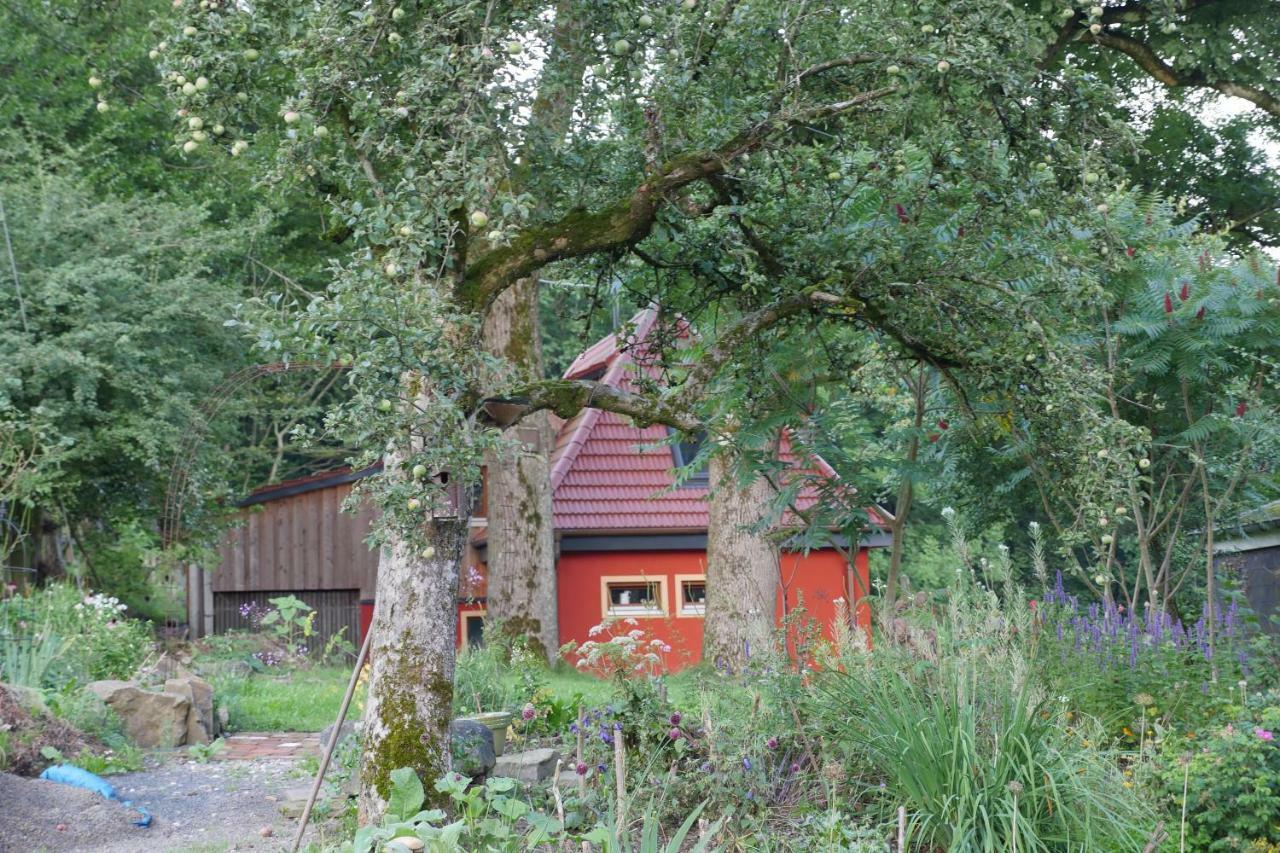 Kleine Villa im wilden Garten Gummersbach Exterior foto